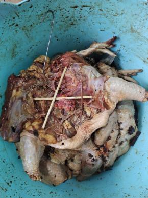 用筷子把腌制好的鸡撑起来，挂上挂钩！