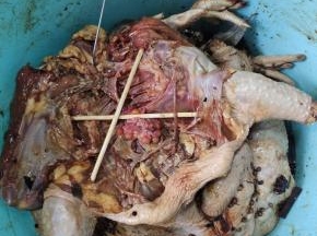 用筷子把腌制好的鸡撑起来，挂上挂钩！