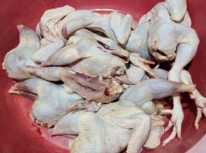 鸡去掉鸡头和鸡爪放在大盆里！(也可以根据自己的喜好不用去掉鸡头和鸡爪！)