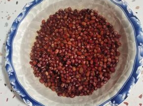 红豆提前用温水泡一晚上！