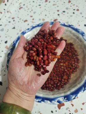 泡好的红豆体积明显变大！