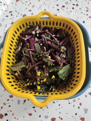 选择嫩的紫菜胎，清洗干净，切成段备用！