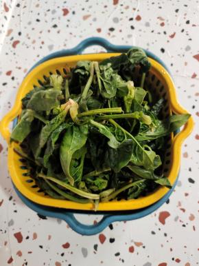 菠菜清洗干净，控干水分备用！