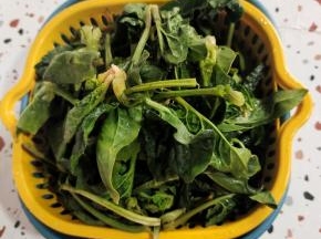 菠菜清洗干净，控干水分备用！