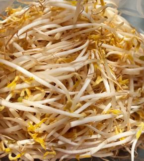 新鲜的豆芽摘去两端，成掐菜也可称银针后洗净备用。