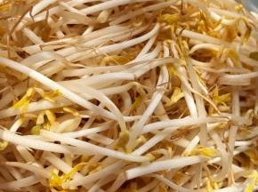 新鲜的豆芽摘去两端，成掐菜也可称银针后洗净备用。