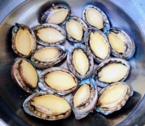 煮好的鲍鱼取出放入冰水中过凉，这样鲍鱼更加Ｑ弹。