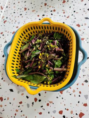 选择嫩嫩的紫菜苔，清洗干净，切成段备用！如果紫菜苔太老，就需要把皮扒下来哦！