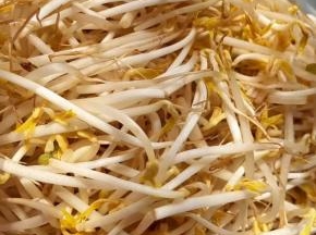 新鲜的豆芽摘去两端，成掐菜也可称银针后洗净备用。
