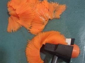 再用卷花刀的另一头把胡萝卜卷出波浪纹的花型！