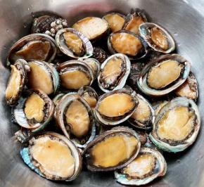 在海边买到刚刚打捞上来的鲜活鲍鱼仔，回来用小软刷轻轻的将每个鲍鱼仔刷洗干净，沥干水份备用。