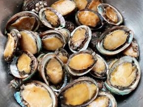 在海边买到刚刚打捞上来的鲜活鲍鱼仔，回来用小软刷轻轻的将每个鲍鱼仔刷洗干净，沥干水份备用。