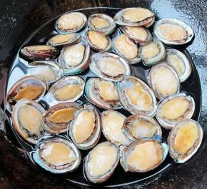 处理好的鲍鱼仔放入锅中，添加适量清水，放入少许盐大火煮三分钟锅开不要打开锅盖焖2-3分钟，这样鲍鱼仔口感更佳。