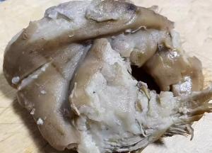 取出猪肘肉放至不烫手即可