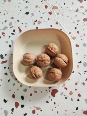 外面卖的有几个核桃我不知道，但是我这里真正的是有六个核桃！