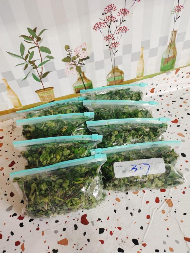 储存香菜
