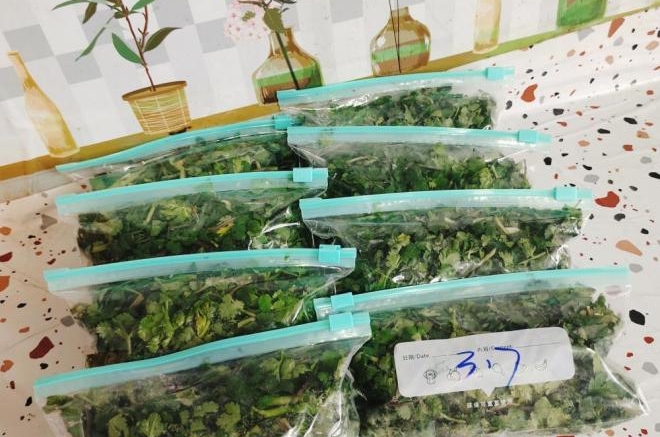 储存香菜