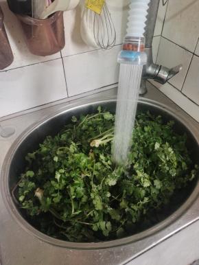 香菜去掉根部，清洗干净！