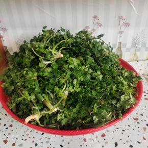 放在筛网上控一下水！