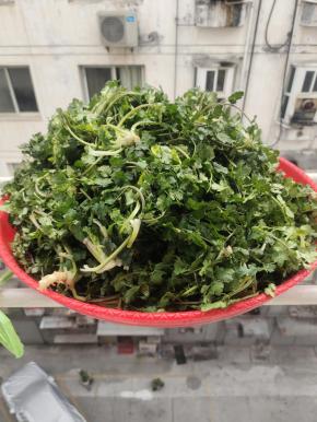 放在阳台上通风的地方，晾干水分！