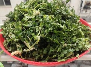 放在阳台上通风的地方，晾干水分！