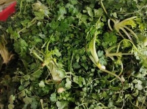 这是晾了一天一夜的香菜！水分都晾干了！
