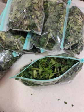 装在保鲜袋中！