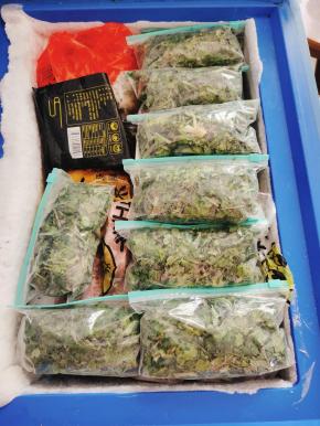 放入冰箱冷冻保存！随吃随取！无需解冻！直接放在锅里即可！和新鲜的香菜一样！