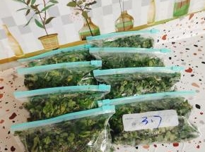 成品图