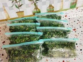 成品图