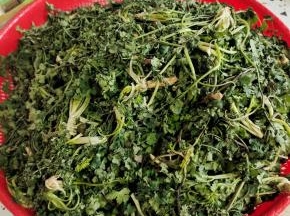 晾到香菜有点儿蔫吧就可以了！