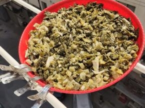 放在阳光下暴晒三天左右！(中途记得翻动几次，晒的更均匀！)