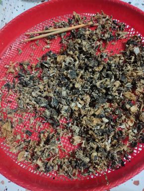 这是晒了三天的干酸菜！