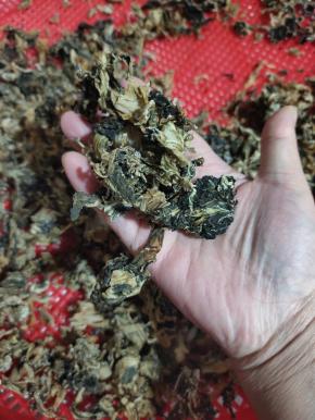 闻起来浓浓的酸香味儿！拿来煮面条，做梅干菜扣肉，做臊子水浇蛤蟆咕咚儿都挺好的！