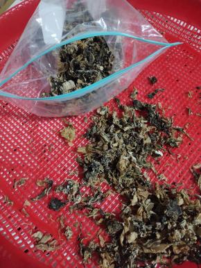 装在保鲜密封袋里面！吃之前先用温水泡发就可以了！