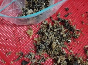 装在保鲜密封袋里面！吃之前先用温水泡发就可以了！