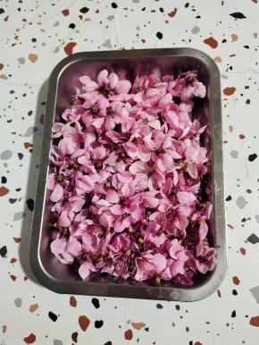 这是我今天下午采摘的新鲜的桃花！