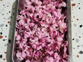 这是我今天下午采摘的新鲜的桃花！