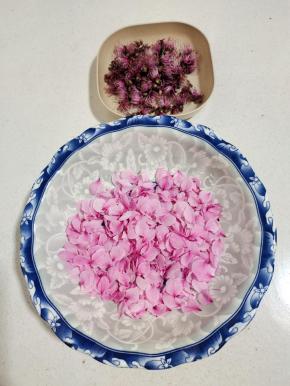 把桃花的花瓣摘下来备用！