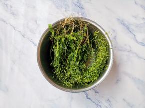 荠菜连根洗净。