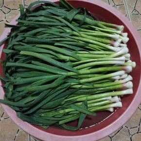 蒜苗扒掉外面的老叶，去掉根部，用水清洗干净！