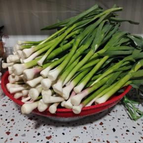 捞出控干水分！