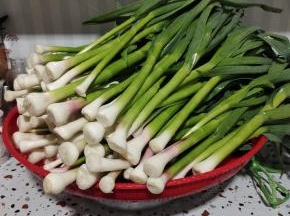 捞出控干水分！