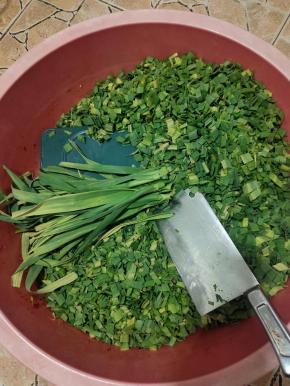 扒下来的蒜叶切成小块！