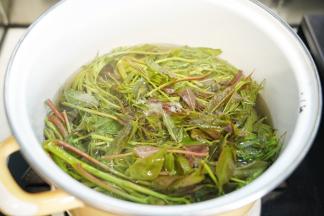 锅里烧开水后，放入去老梗的香椿焯烫，焯烫时加入3克盐和5毫升植物油