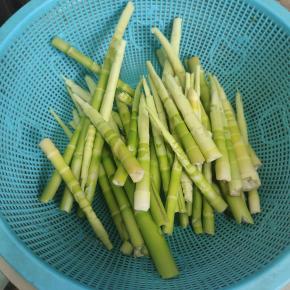 扒掉竹笋外面的一层外壳！