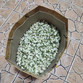 忙碌了两个小时才摘了这么一点槐花，手都扎破了！