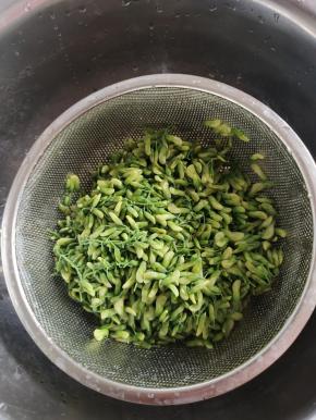 捞出控干水分，放在冷水中投凉，挤干水分备用！