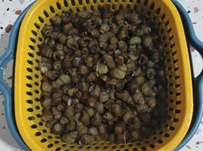 往田螺里面倒入多一点的清水！再加入一勺盐，滴入几滴油！下手搅拌均匀，把田螺浸泡半个小时，让它吐出泥沙！