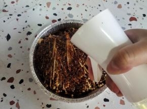 表层喷适量的油！